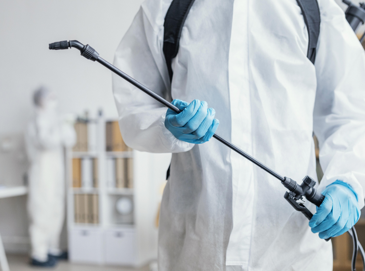 Фото с сайта https://ru.freepik.com/