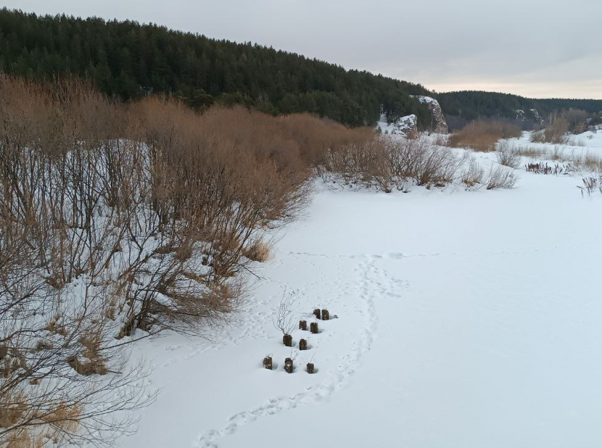 Фото: Василий Ергашев.