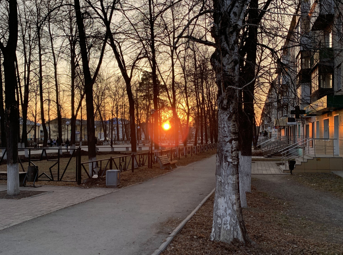 Фото Юлии Чупраковой. Прекрасное - рядом, стоит только приглядеться.