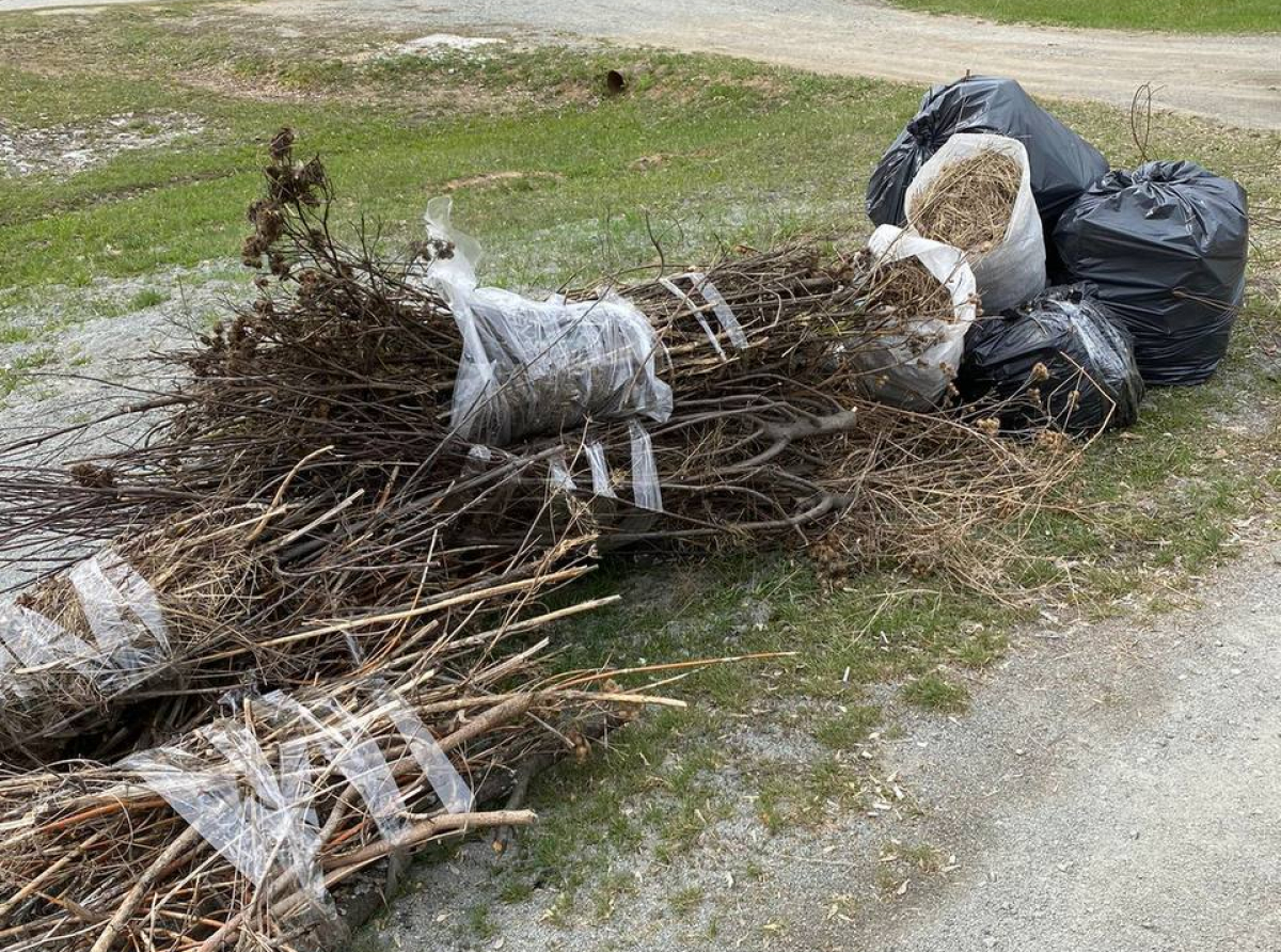 Фото ДИП Свердловской области.