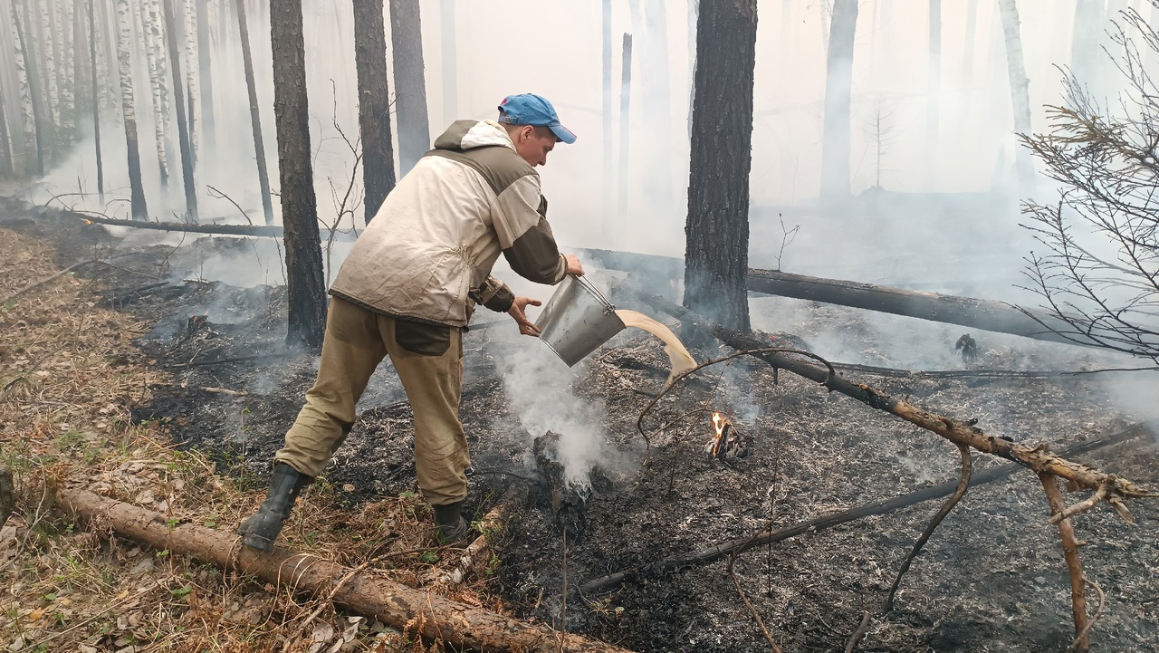 Евгений Куйвашев поручил усилить профилактику пожаров и привлечь для тушения огня в регионе дополнительную технику
