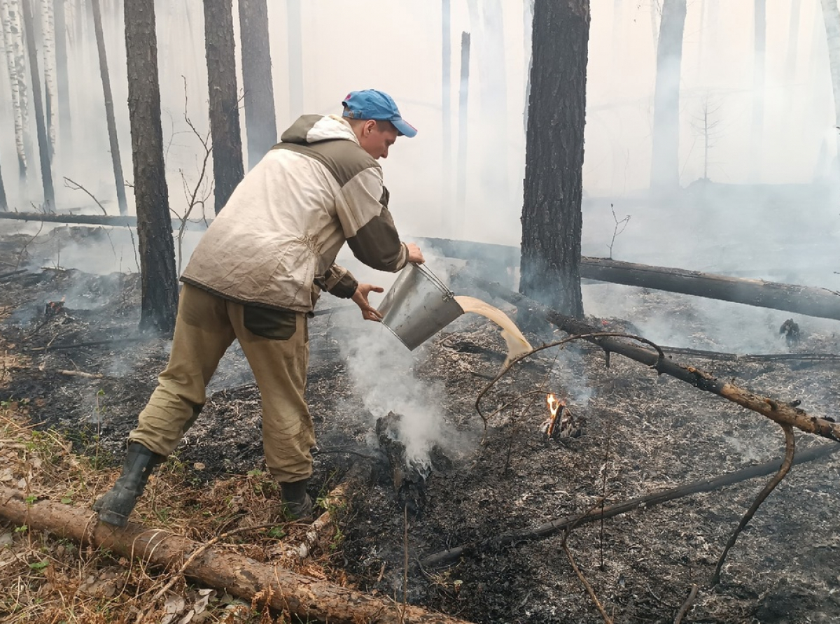 Фото Василия Ергашева. По данным глав муниципалитетов, в большинстве территорий на сегодняшний день отсутствует угроза распространения огня на населённые пункты.