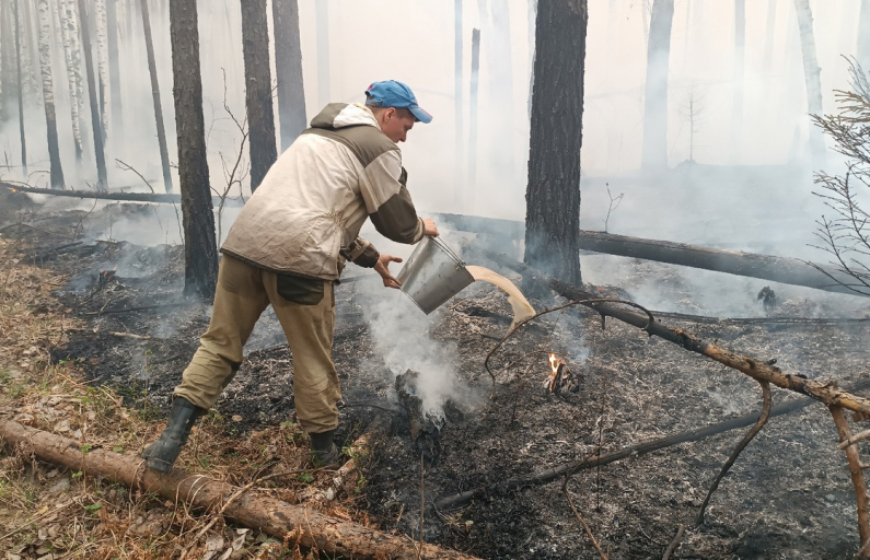 Фото Василия Ергашева. По данным глав муниципалитетов, в большинстве территорий на сегодняшний день отсутствует угроза распространения огня на населённые пункты.
