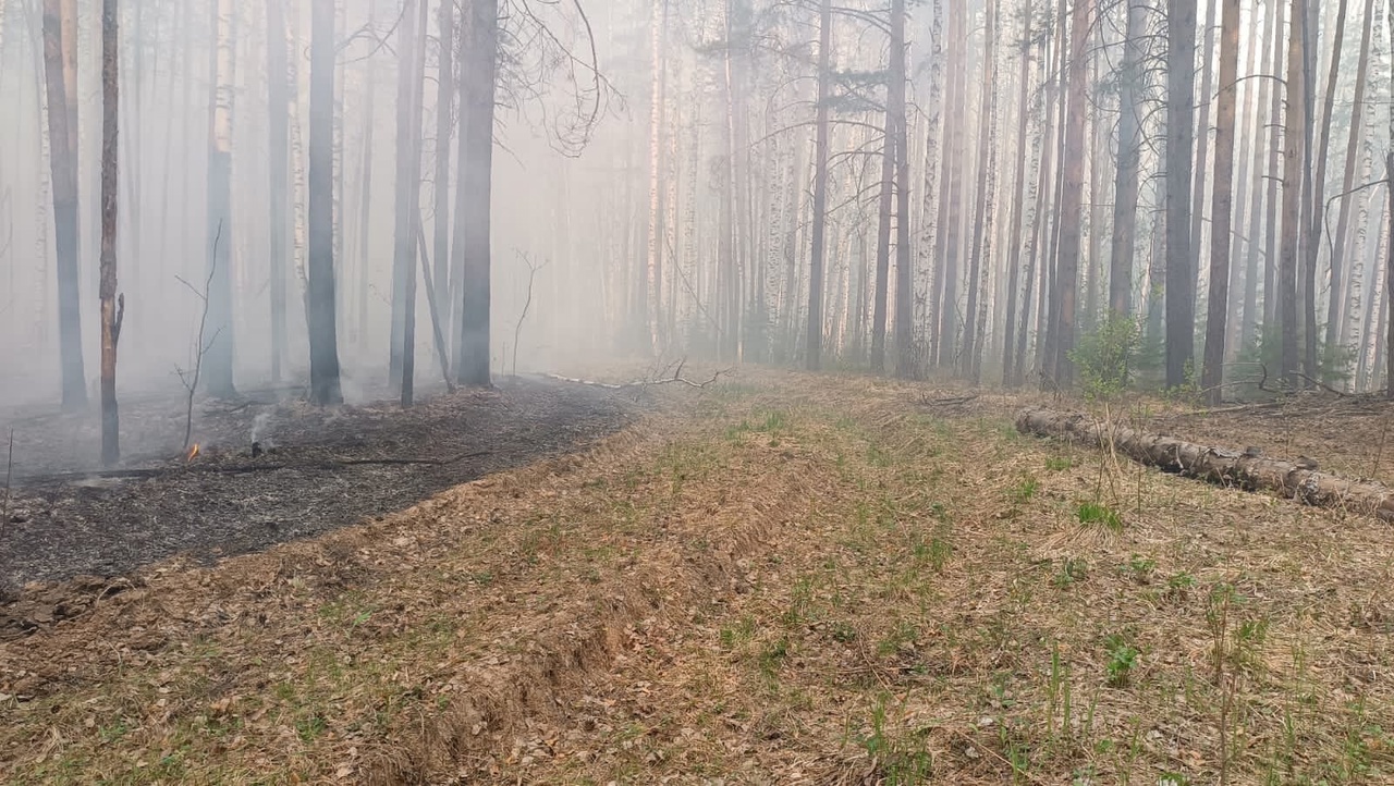 Маски, респираторы, очки и вода