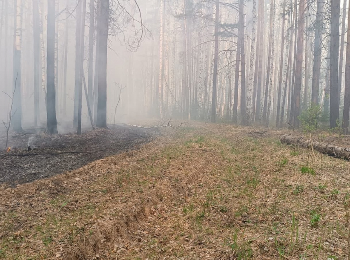 Фото Василия Ергашева. 