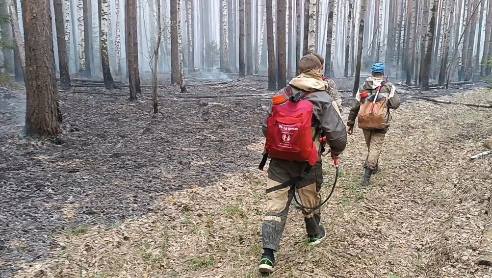 Такого еще не было: горело так, что затмило солнце