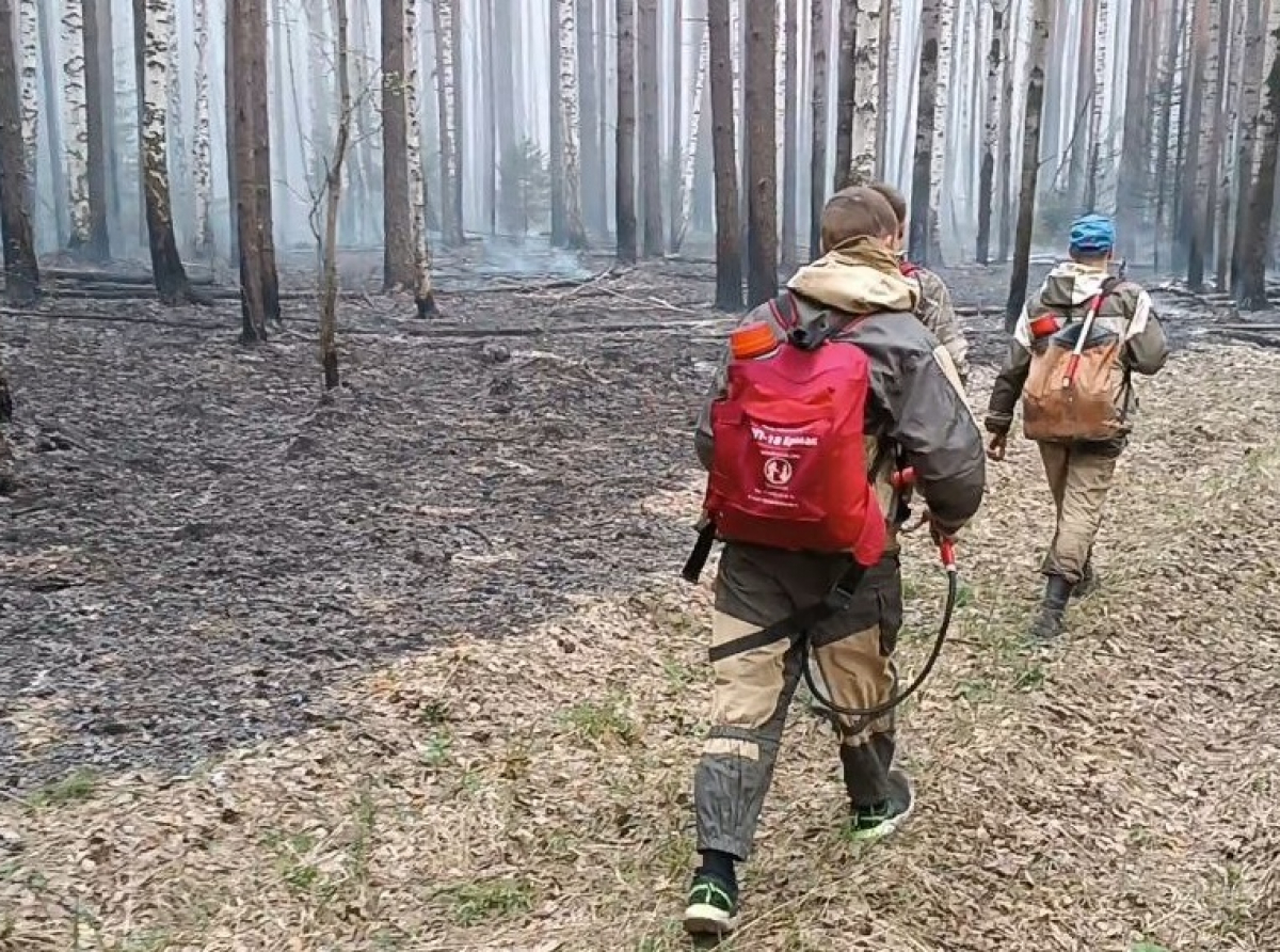 Фото Василия Ергашева. 