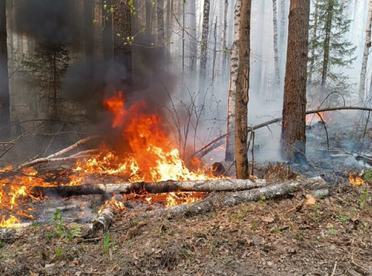 Фото: Василий Ергашев.