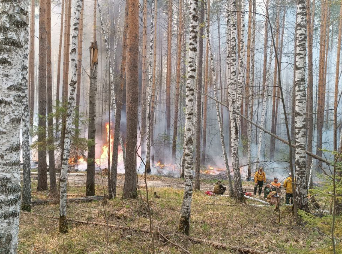 Фото: Василий Ергашев.