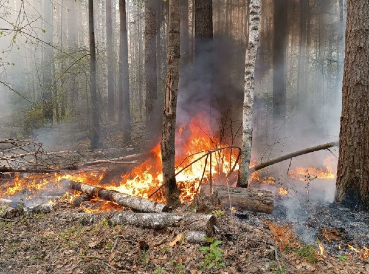Фото: Василий Ергашев.
