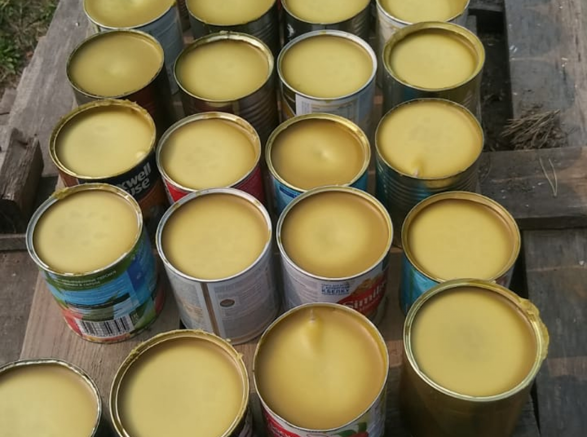 Фото: Кристина Голодникова 