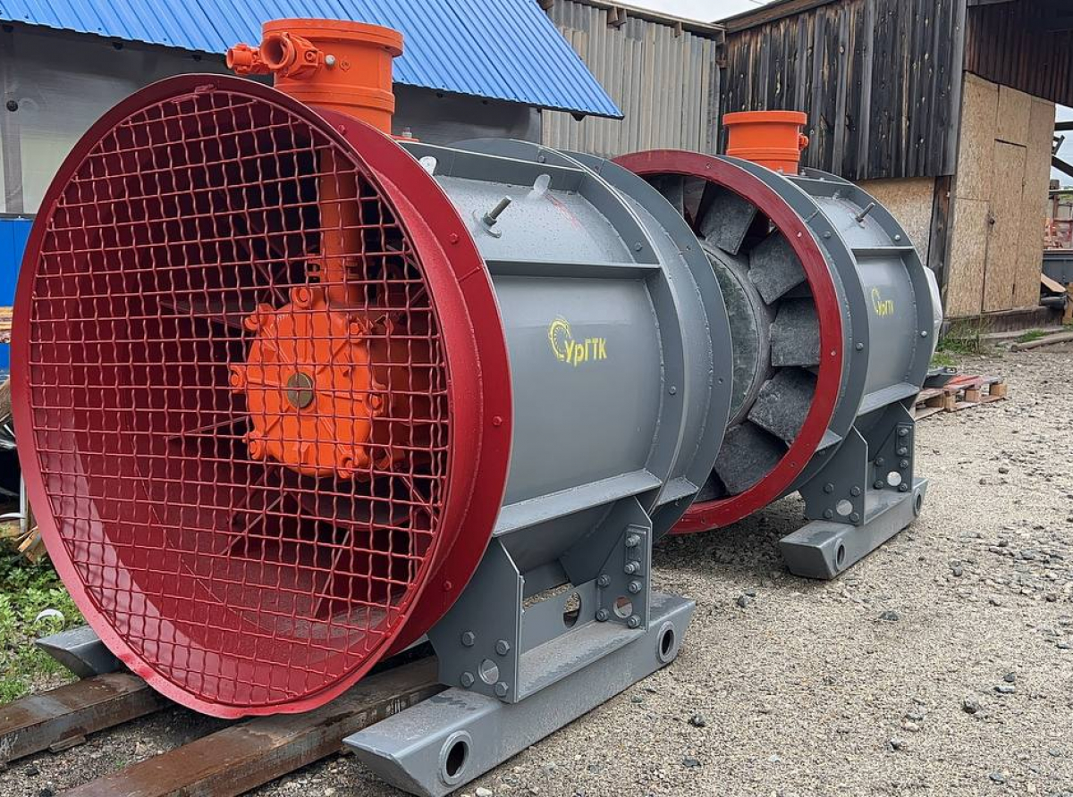 Фото Галины Таскиной.