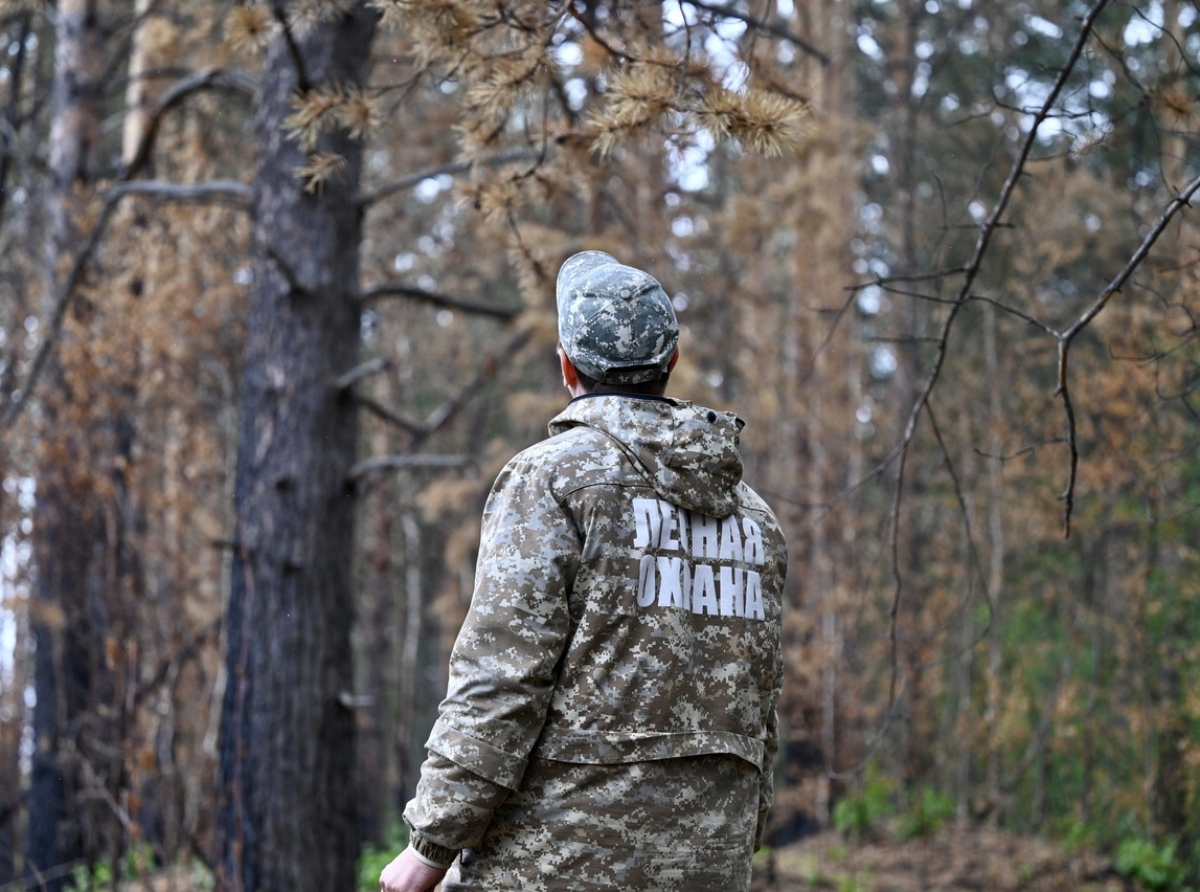 Фото ДИП Свердловской области.