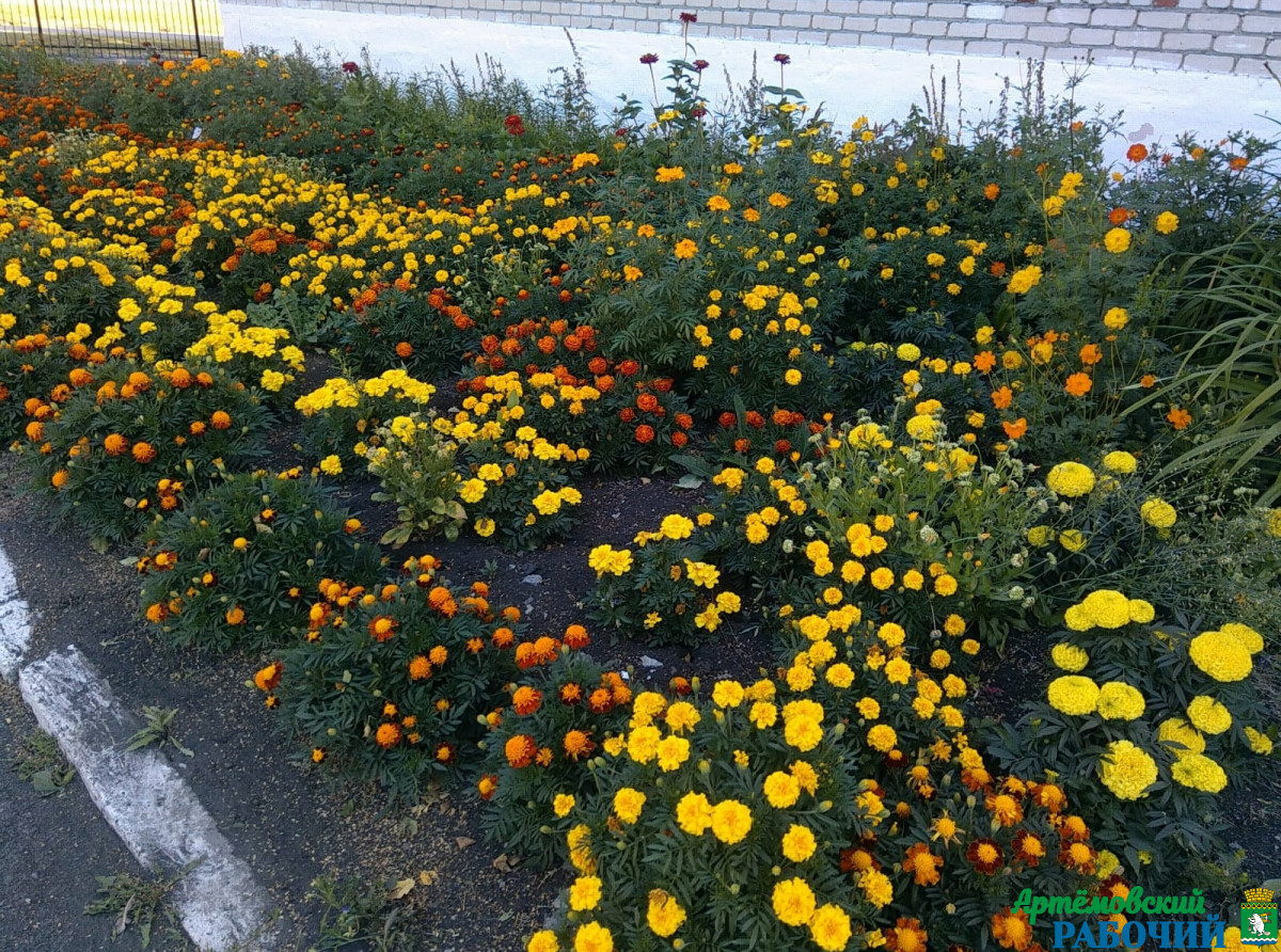 Фото из архива редакции.