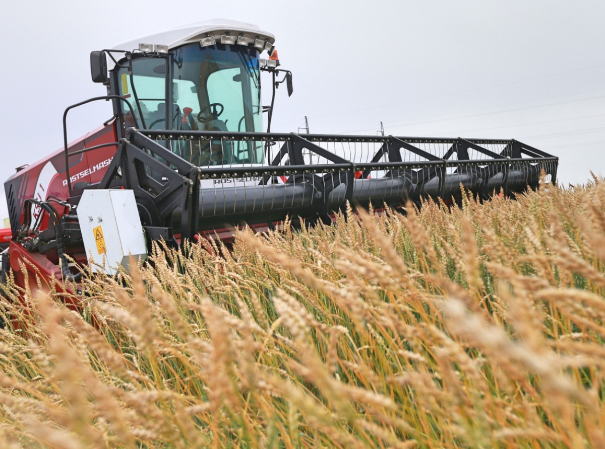 Фото ДИП Свердловской области. Планируется, что в 2024 году в Свердловской области грантовые средства получат пять сельхозпроизводителей.