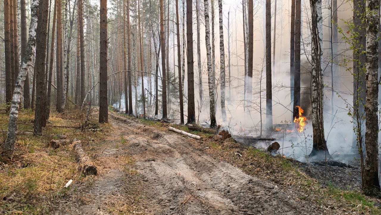 И снова - лесной пожар. Он локализован