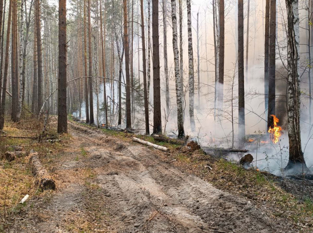 Фото: архив "АР"