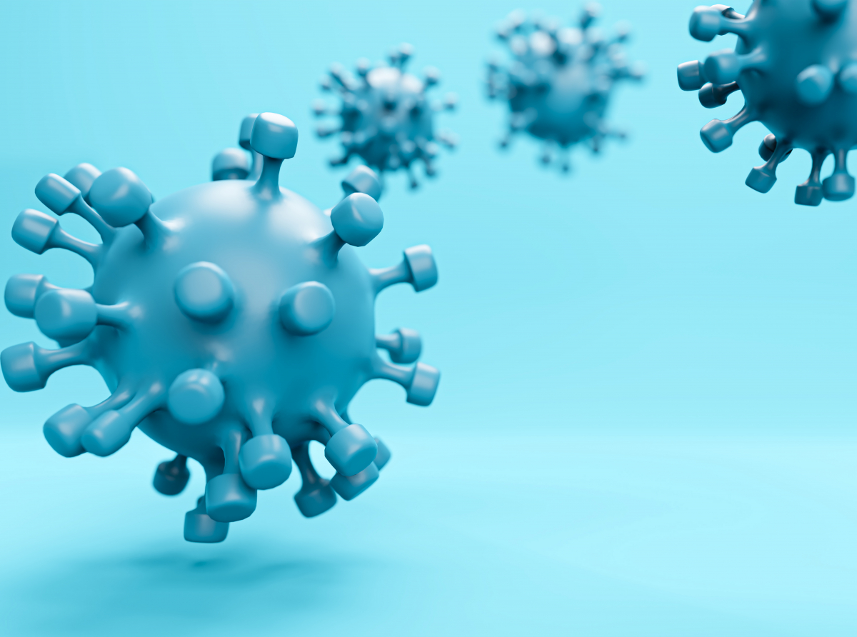 Фото с сайта Фото с сайта https://ru.freepik.com/