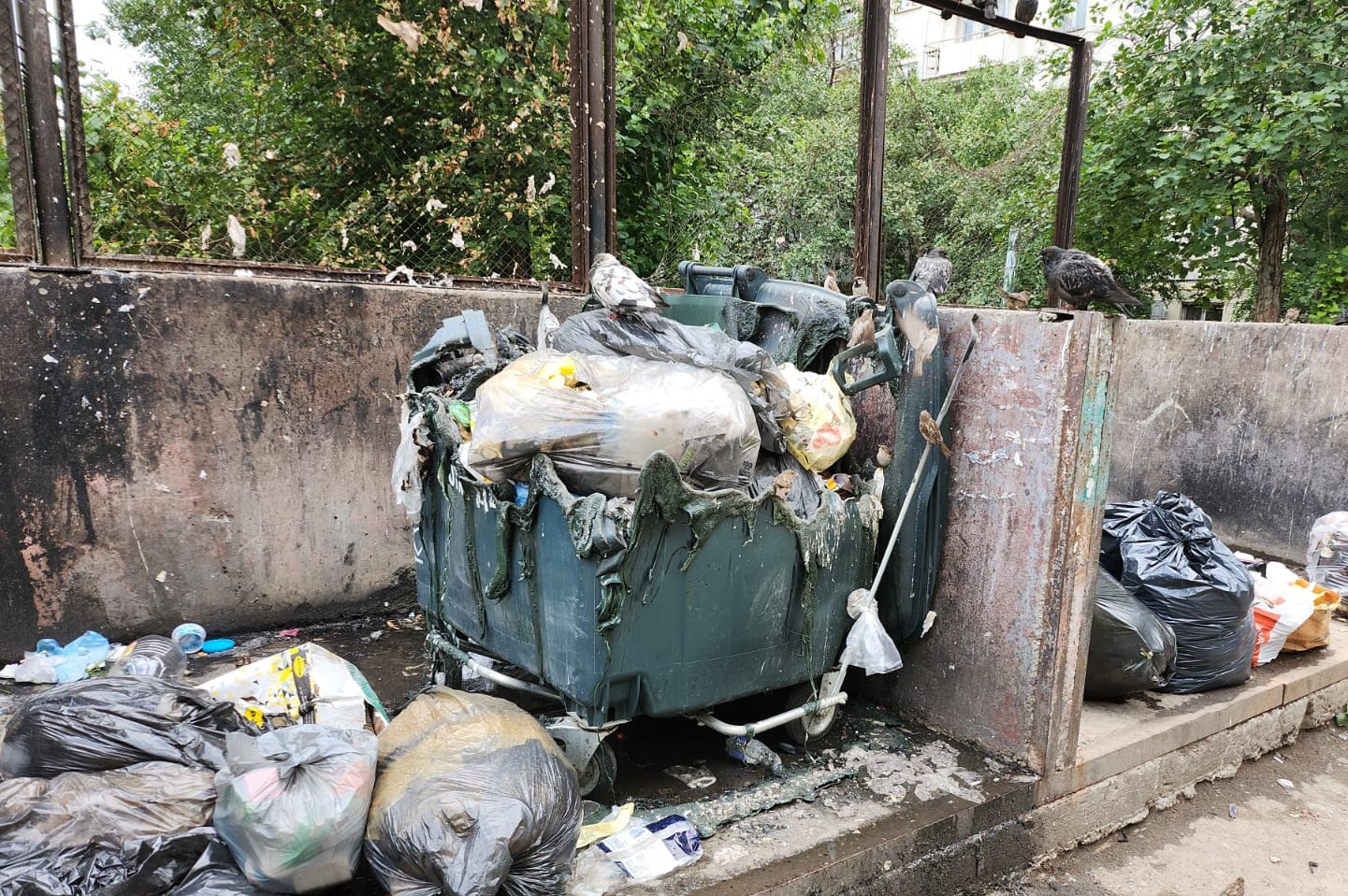 Артемовский в числе «отличившихся». Жители АГО стали бережнее относиться к мусорным бакам