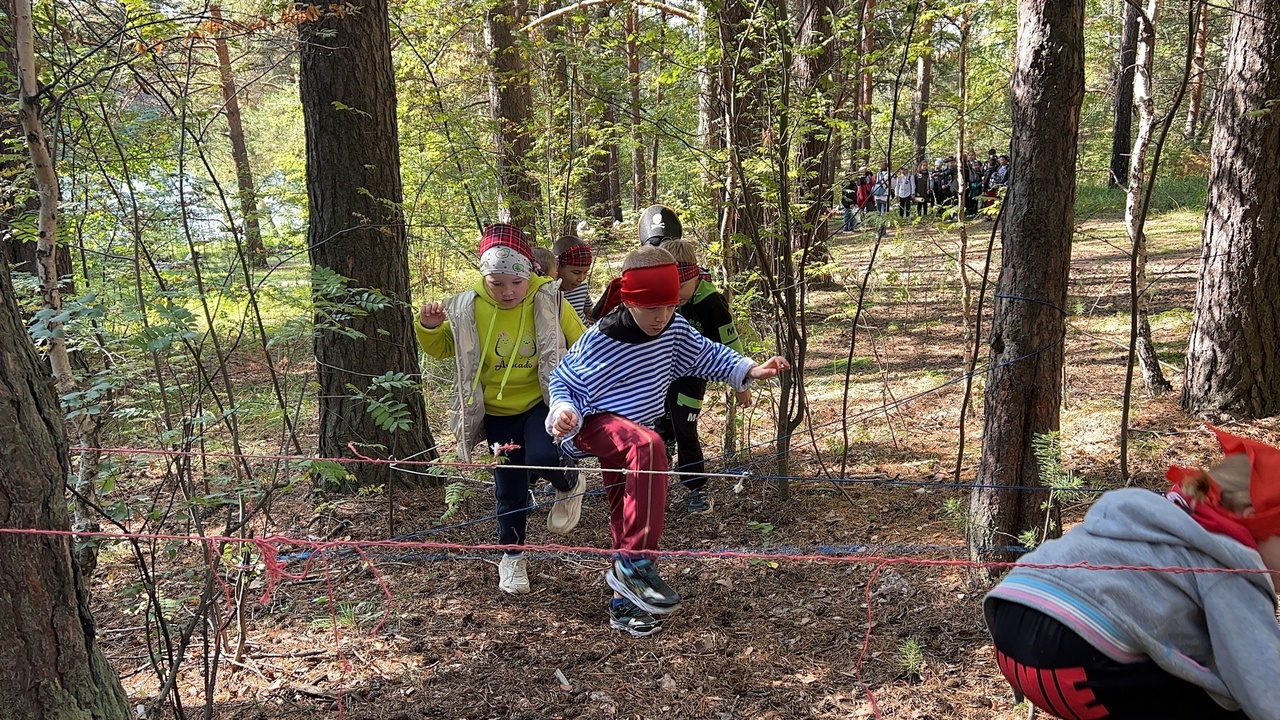 Искали сокровища в лесу у Бобровки