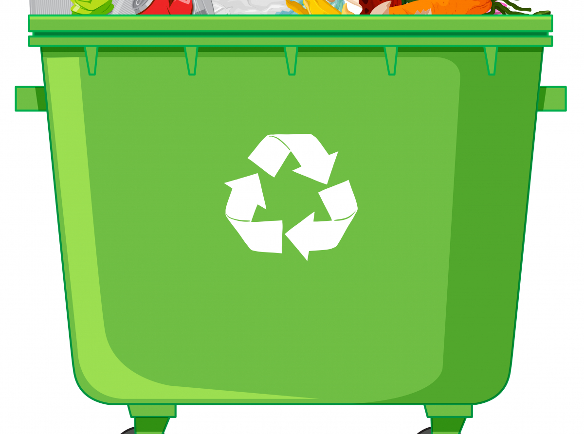 Фото с сайта https://ru.freepik.com/