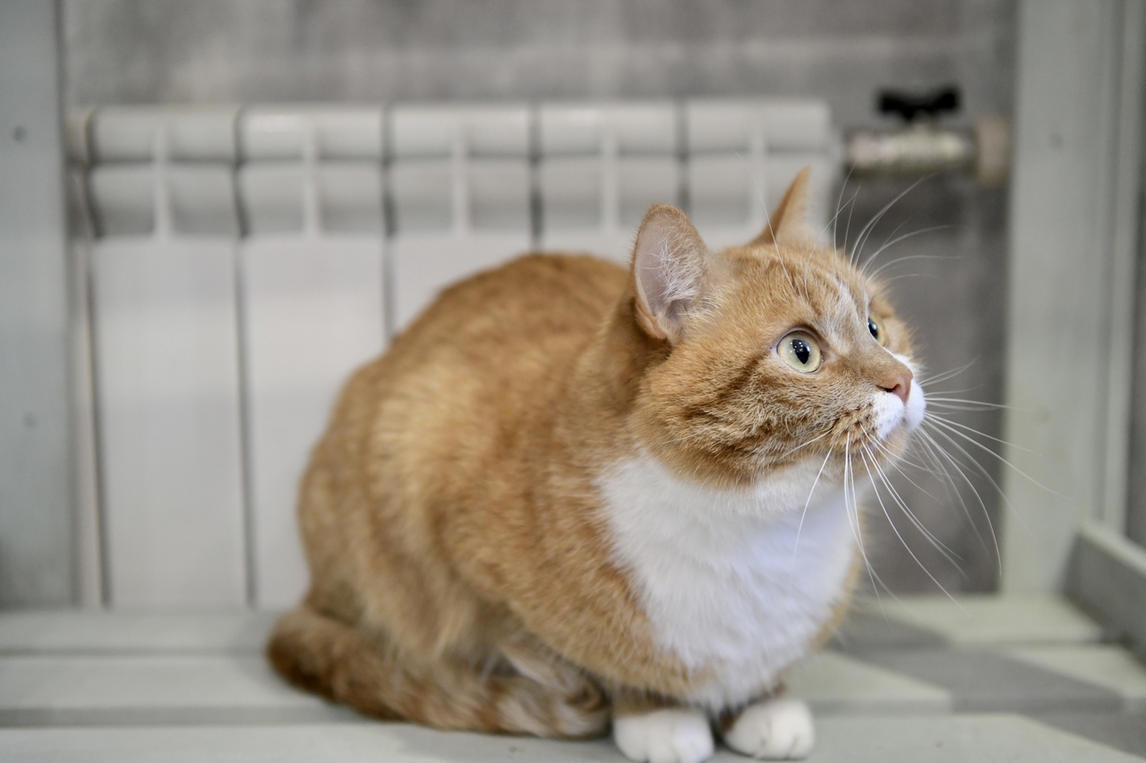 Отопление в дома жителей и социальные объекты начали подавать в 95% муниципальных образований Свердловской области