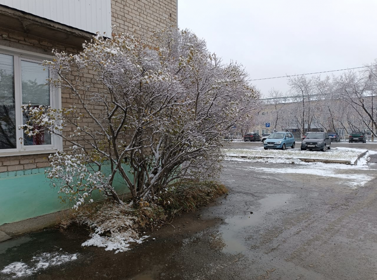 Фото: Василий Ергашев.