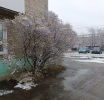 Зима близко: в Артемовском выпал первый снег