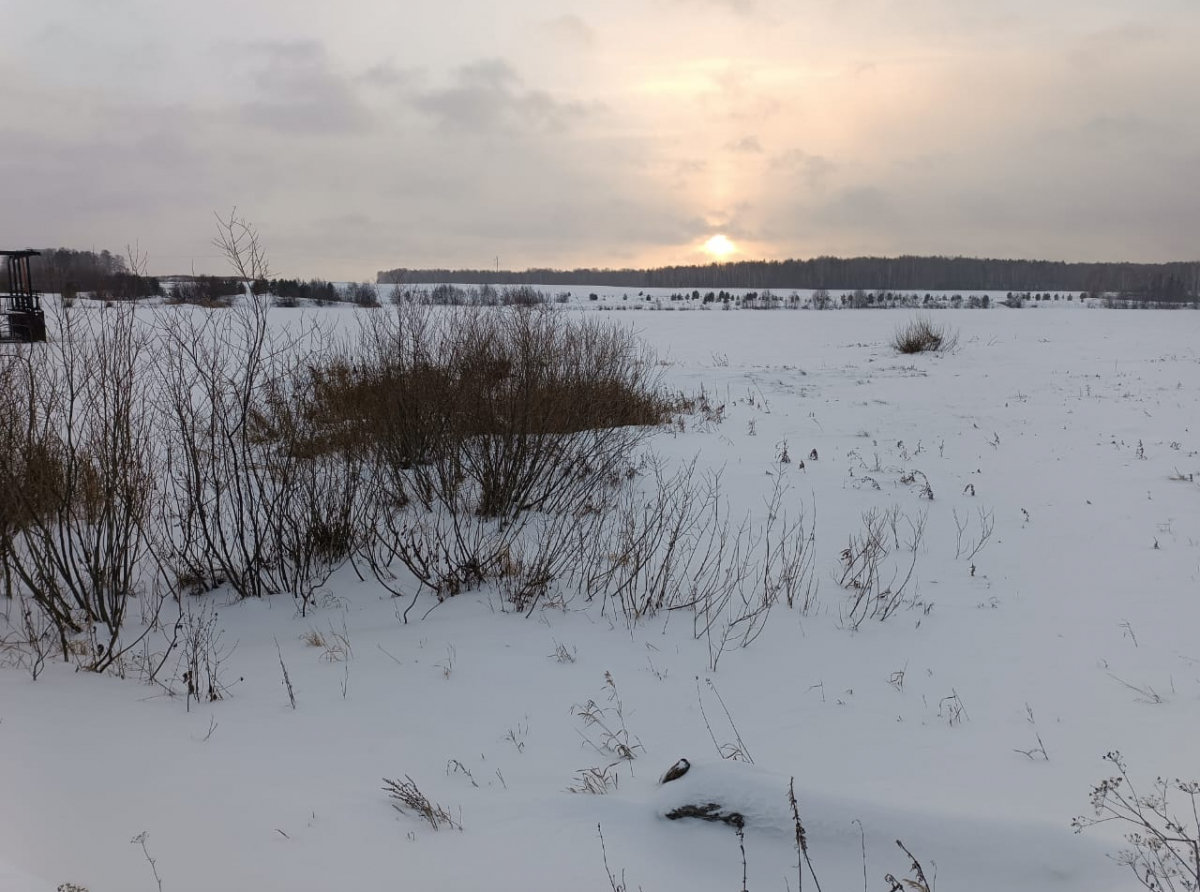 Фото: Василий Ергашев.
