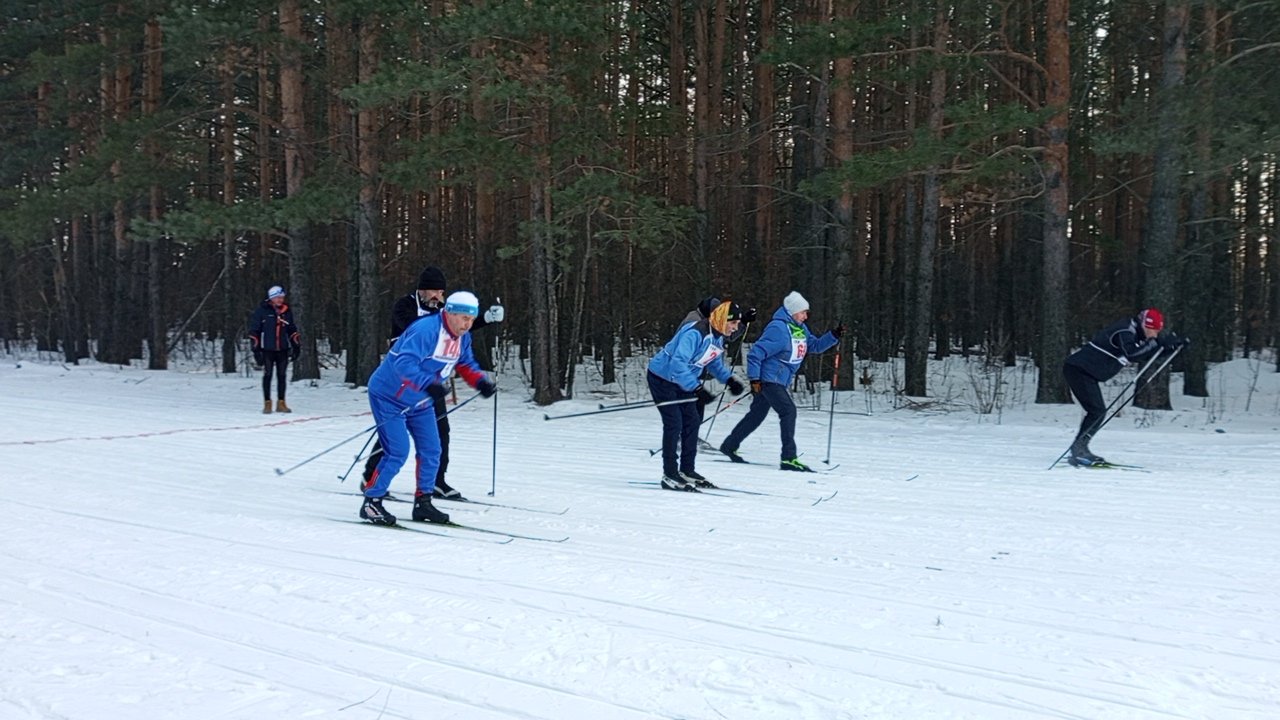 Все на лыжи! «Покровская лыжня – 2024»!