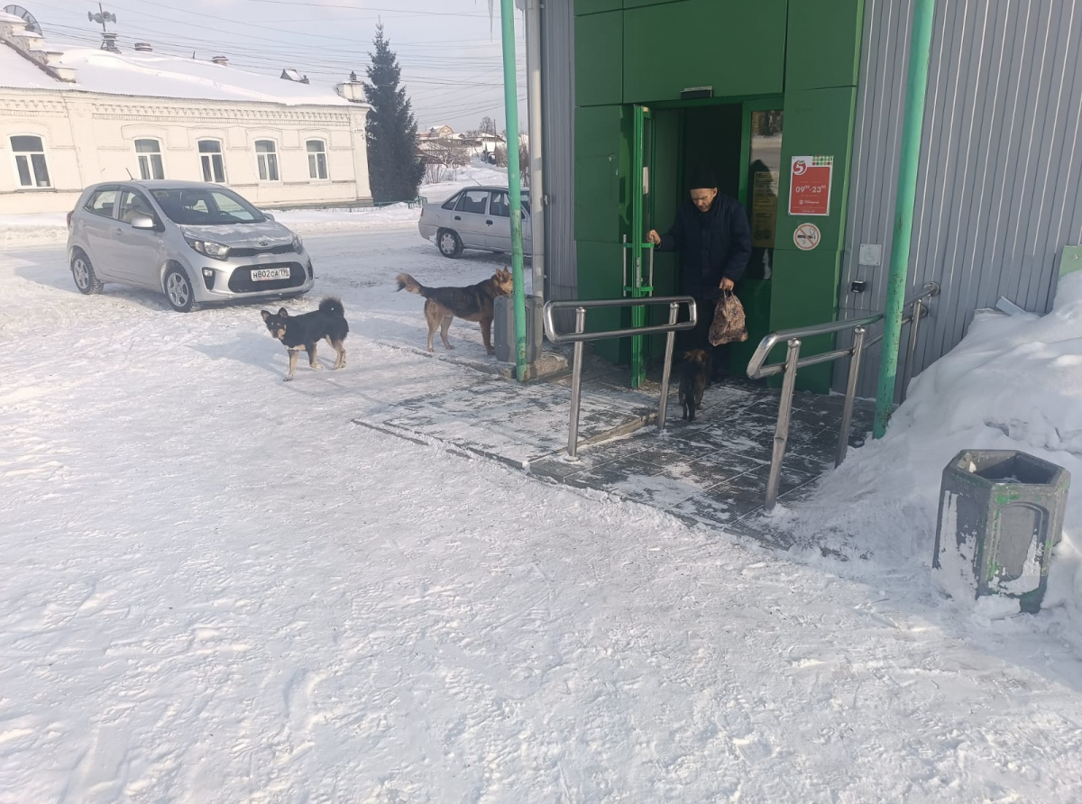 Фото: Василий Ергашев.