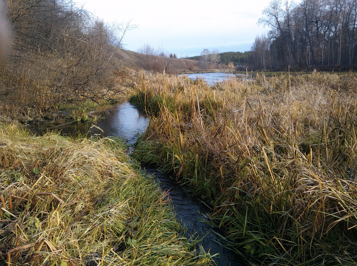 Фото: Василий Ергашев