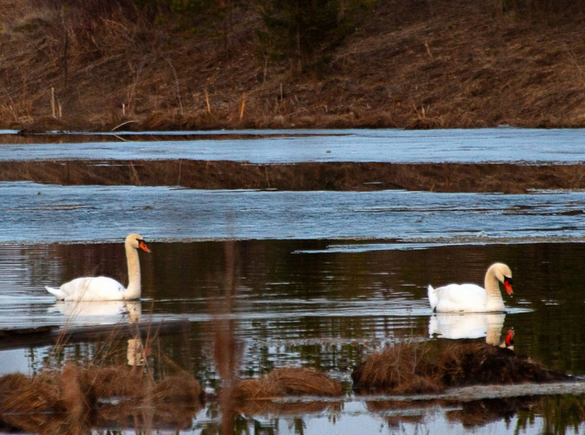 Фото: Екатерина Богомолова