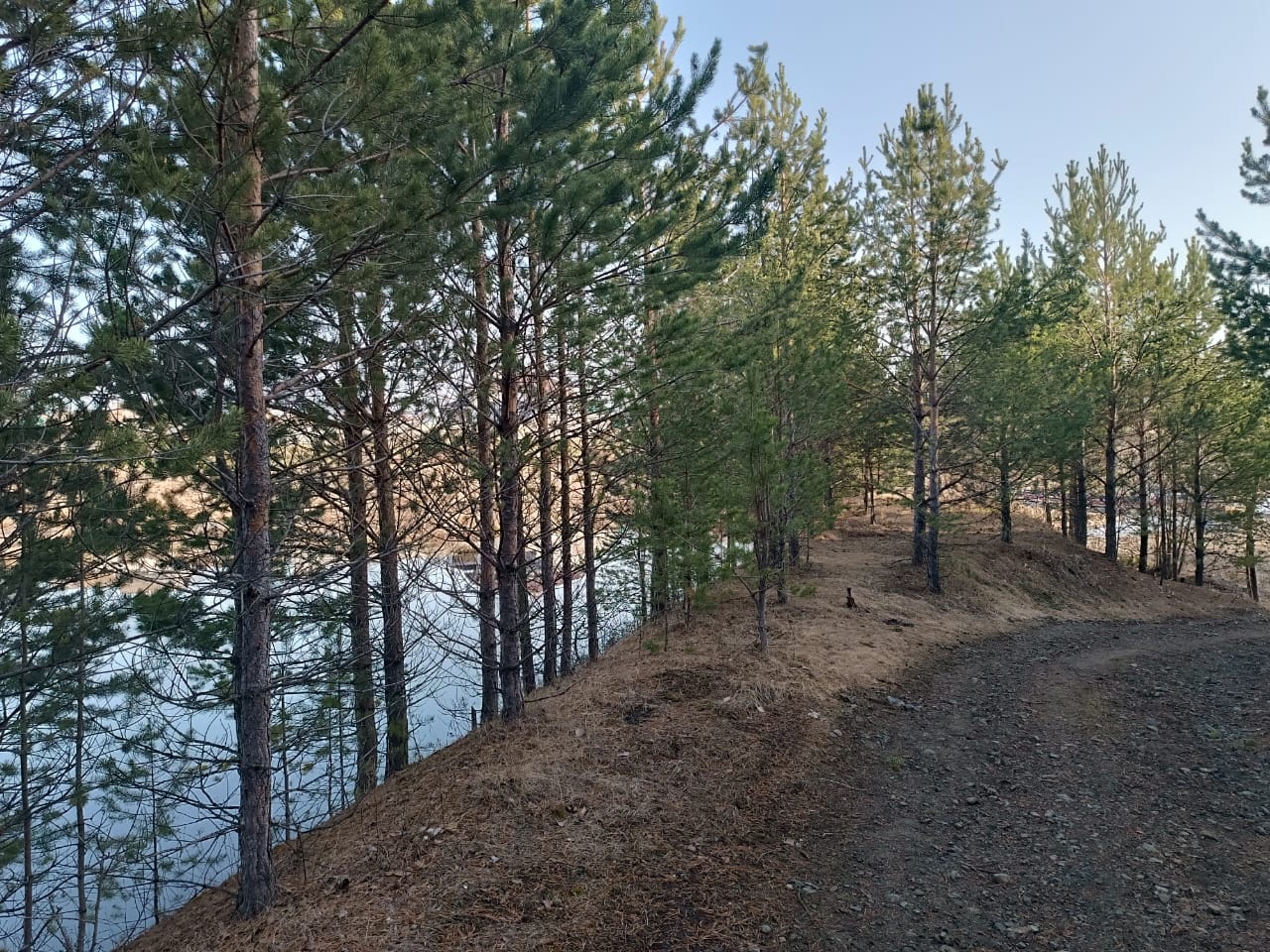  «Осторожно - клещи»