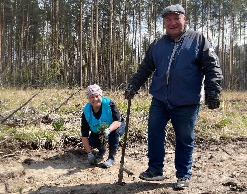 «Уверены: наши сосенки приживутся!»