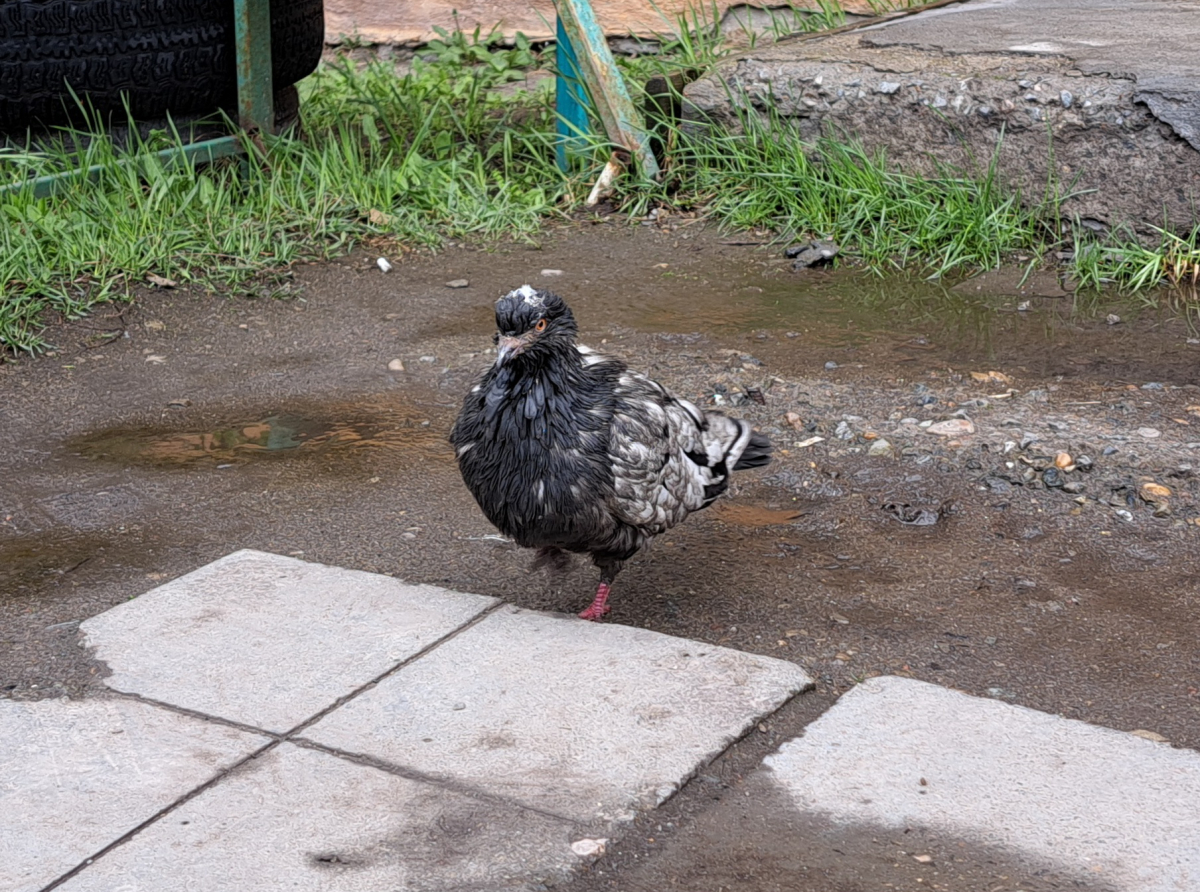 Фото: Дарья Деева