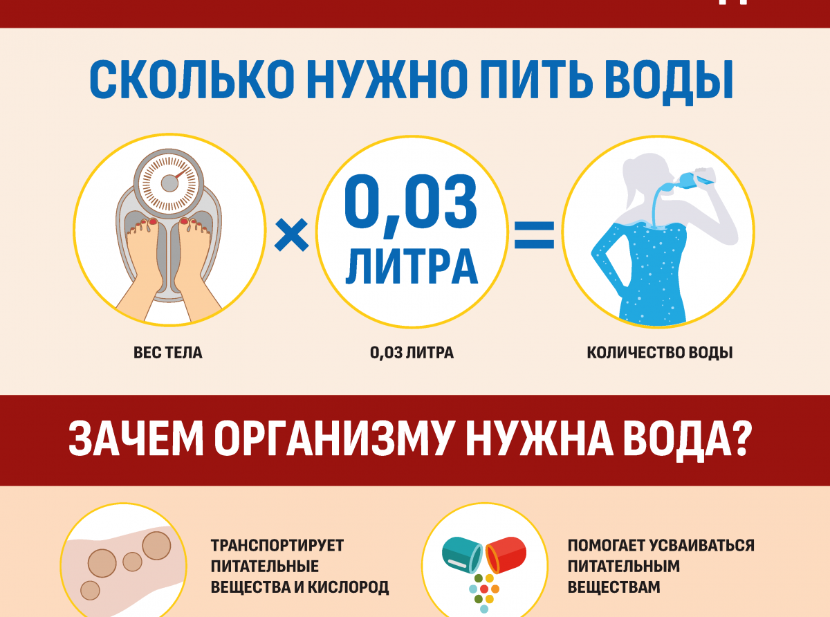 Предоставлено автором