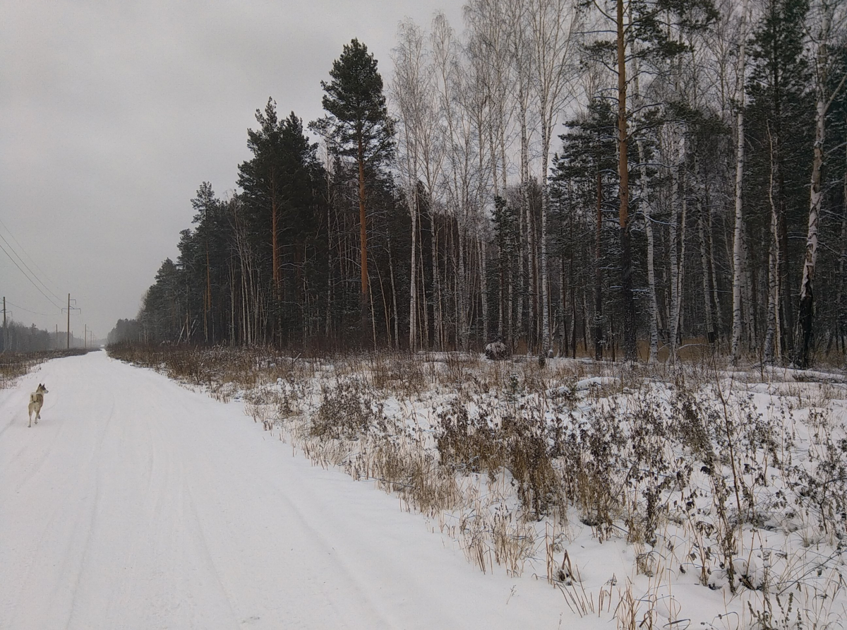 Фото: Василий Ергашев. В настоящее время эта дорога используется рыбаками, туристами, да охотниками
