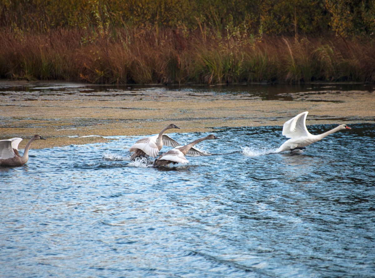 Фото: Екатерина Богомолова