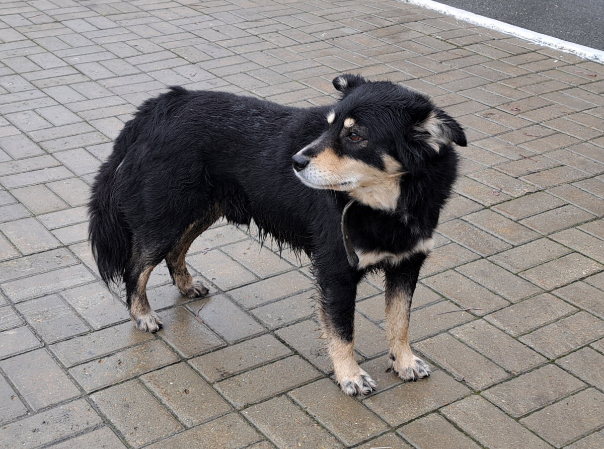 Фото: Архив "АР"