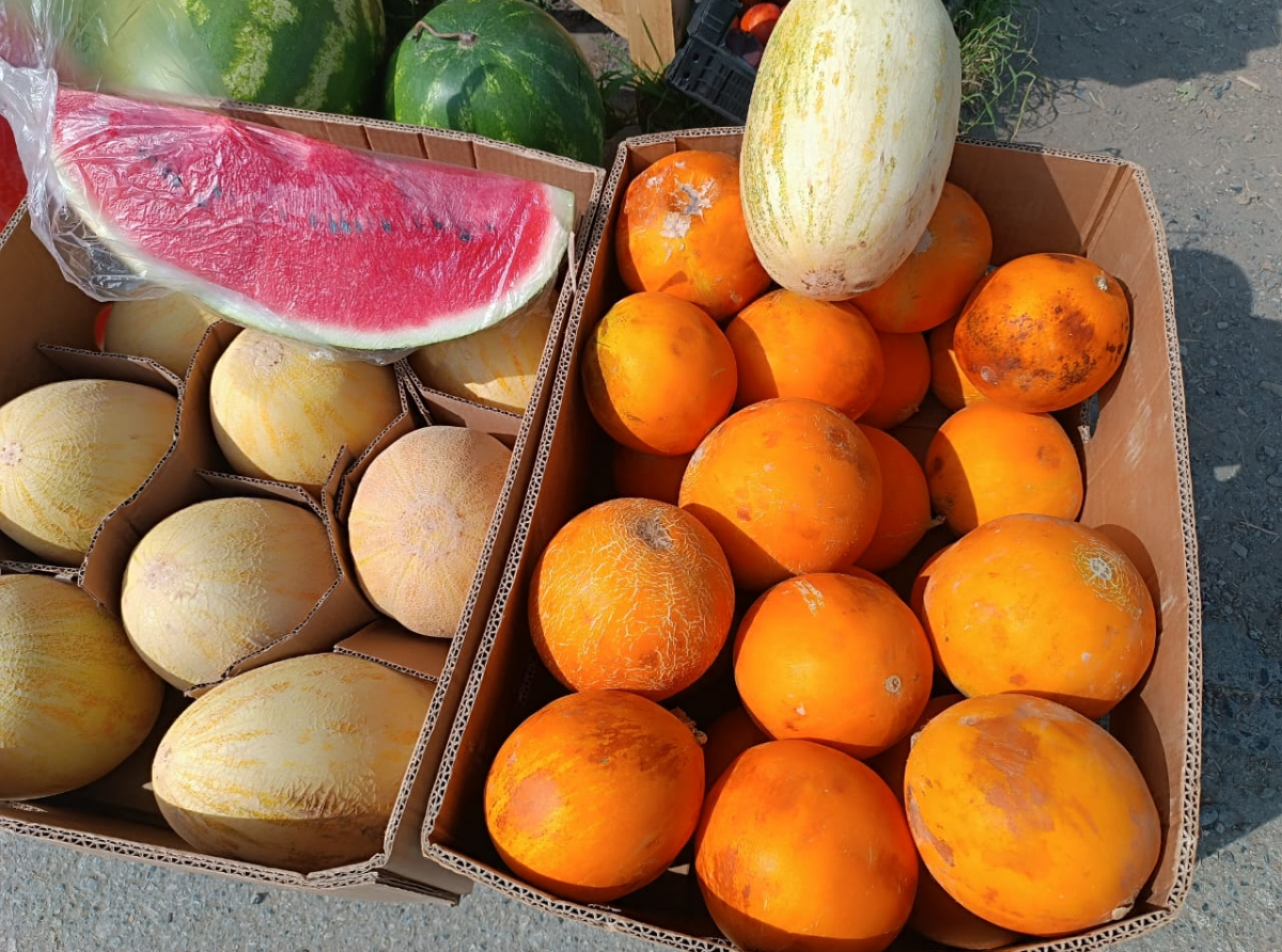 Фото: архив "АР"