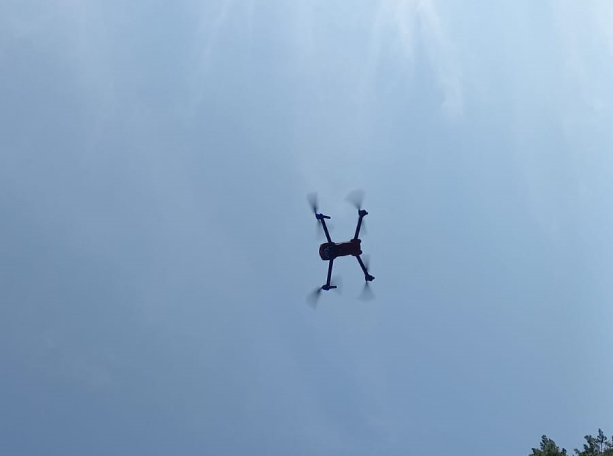 Фото предоставлено ДИП