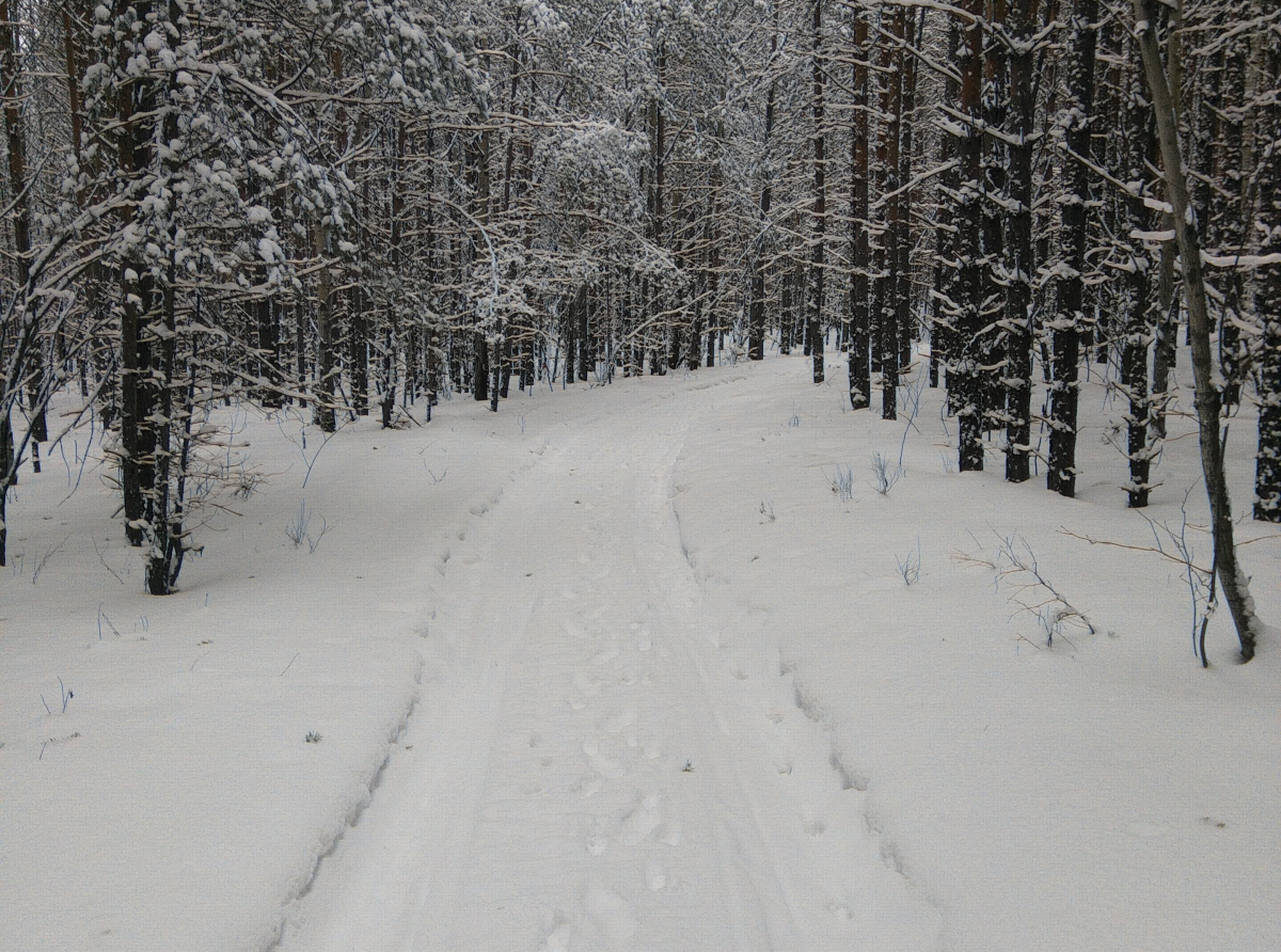 Фото: Василий Ергашев