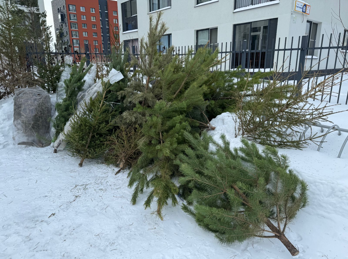 Фото предоставлено автором