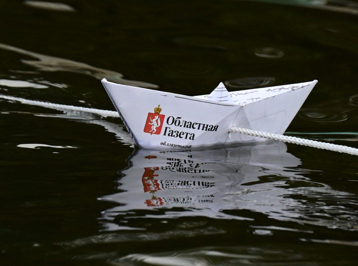 Фото предоставлено ДИП