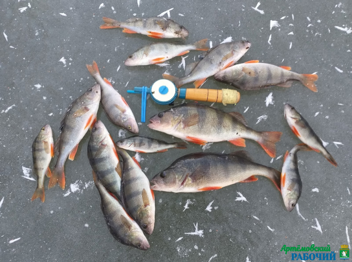 Фото: Алексей Рожков