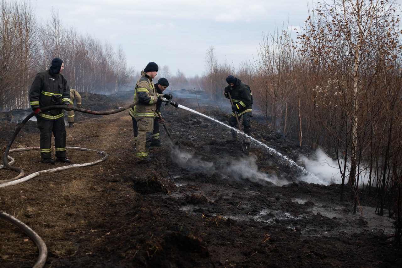 Евгений Куйвашев установил период пожароопасного сезона в 2025 году