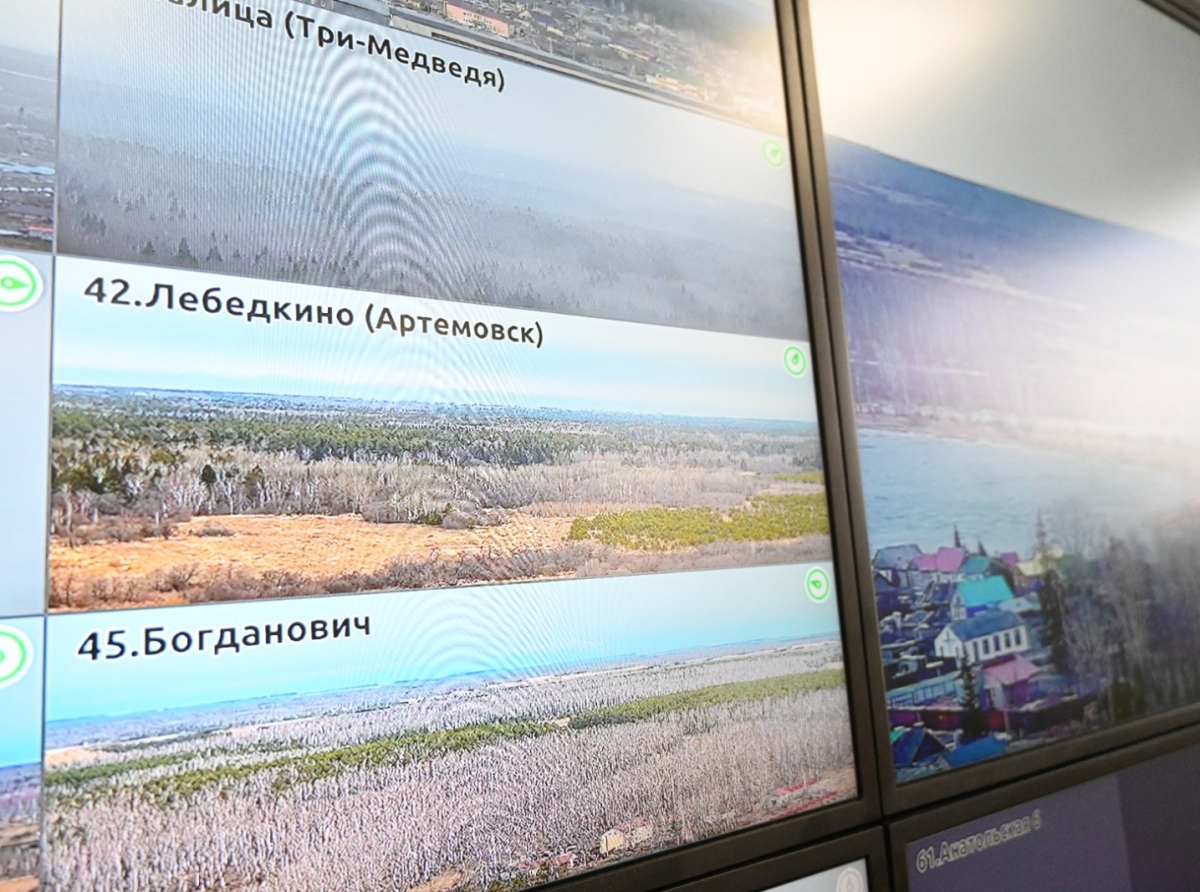 Фото предоставлено ДИП