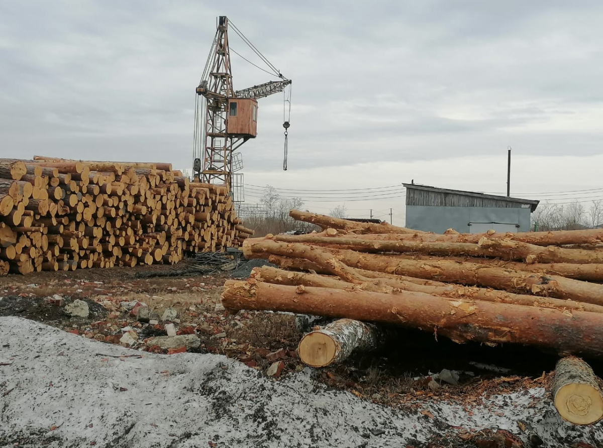 Фото предоставлено ДИП