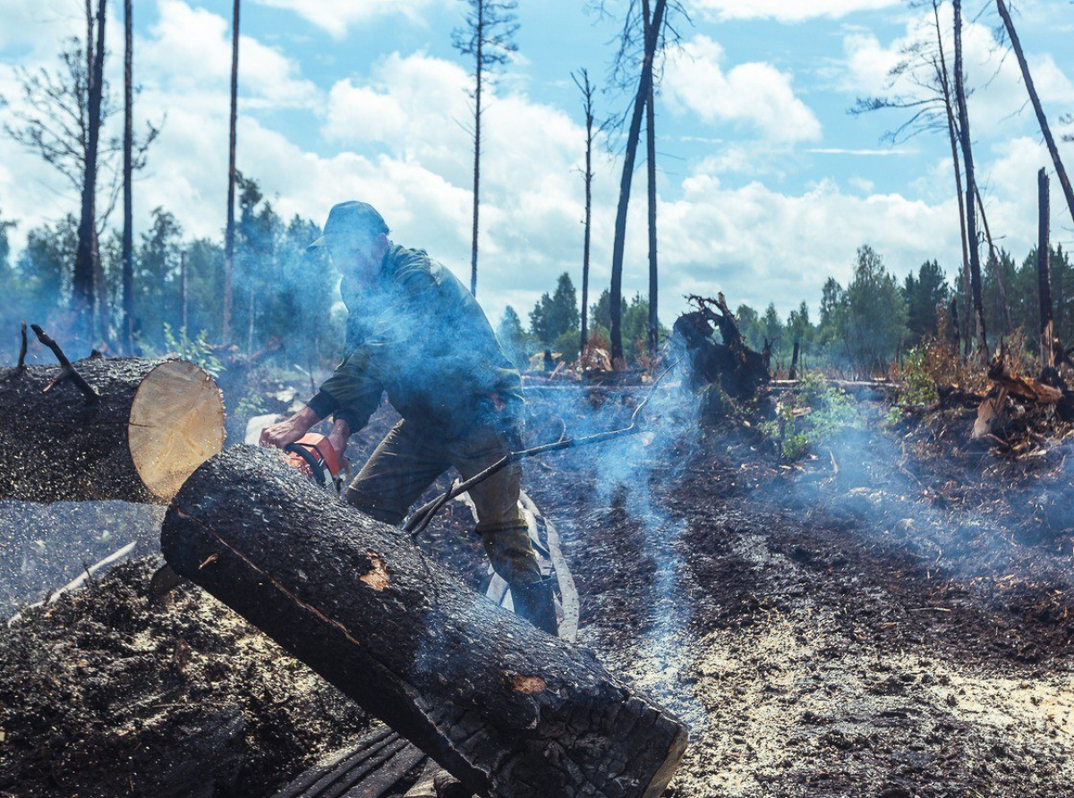 Фото предоставлено ДИП